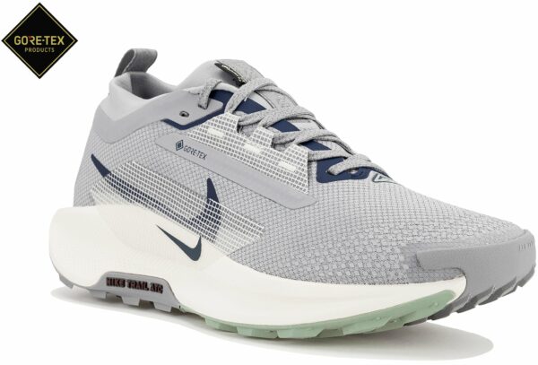 Nike Pegasus Trail 5 Gore-Tex Chaussures homme pour une performance optimale