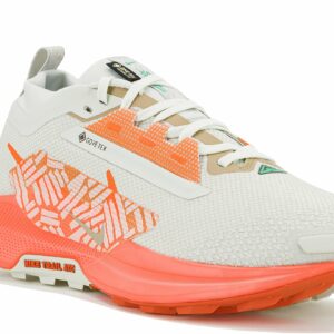 Chaussures de trail Nike Pegasus Trail 5 Gore-Tex pour homme