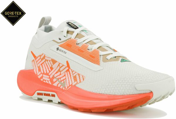 Chaussures de trail Nike Pegasus Trail 5 Gore-Tex pour homme