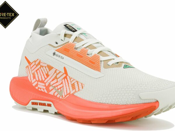 Chaussures de trail Nike Pegasus Trail 5 Gore-Tex pour homme