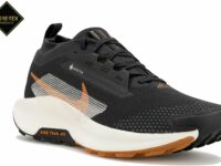 Chaussures homme Nike Pegasus Trail 5 Gore-Tex