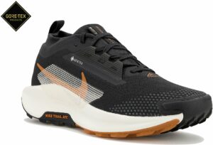Chaussures de trail Nike Pegasus Trail 5 Gore-Tex pour homme