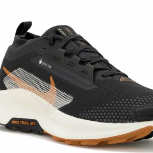 Chaussures de trail Nike Pegasus Trail 5 Gore-Tex pour homme