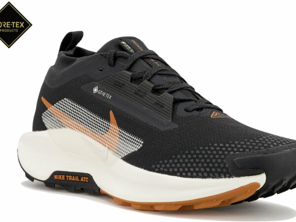 Chaussures de trail Nike Pegasus Trail 5 Gore-Tex pour homme