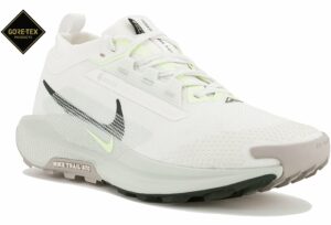 Chaussures homme Nike Pegasus Trail 5 Gore-Tex