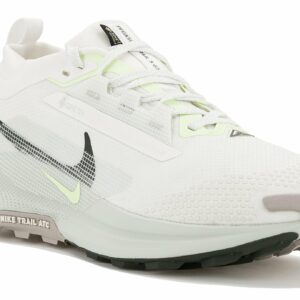 Chaussures homme Nike Pegasus Trail 5 Gore-Tex