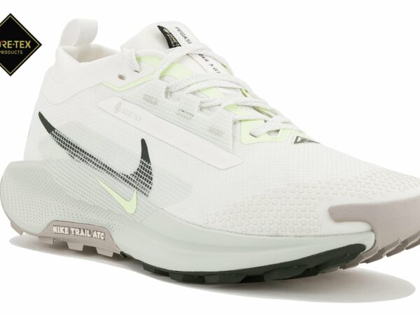 Chaussures homme Nike Pegasus Trail 5 Gore-Tex