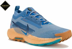 Chaussures de trail Nike Pegasus Trail 5 Gore-Tex pour homme
