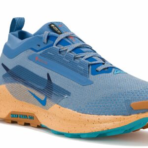 Chaussures de trail Nike Pegasus Trail 5 Gore-Tex pour homme