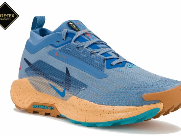 Chaussures de trail Nike Pegasus Trail 5 Gore-Tex pour homme