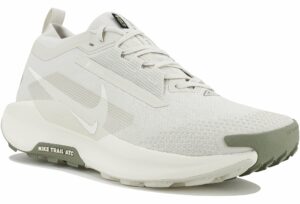 Nike Pegasus Trail 5 Gore-Tex Chaussures homme