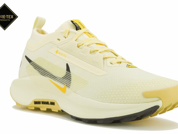 Nike Pegasus Trail 5 Gore-Tex Chaussures homme - Chaussures de trail imperméables