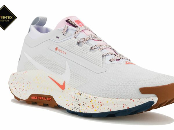 Chaussures homme Nike Pegasus Trail 5 Gore-Tex