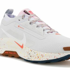 Chaussures de trail homme Nike Pegasus Trail 5 Gore-Tex