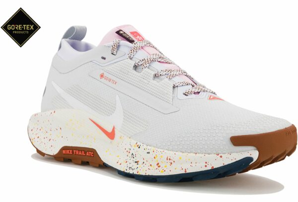 Nike Pegasus Trail 5 Gore-Tex Chaussures homme