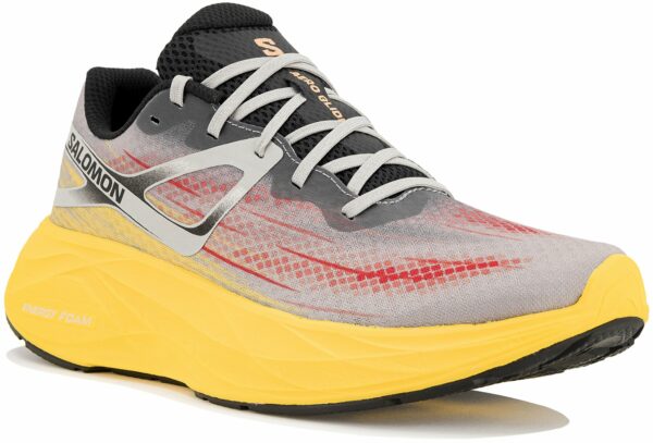 Chaussures de running Salomon Aero Glide M en déstockage