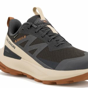 Chaussures de randonnée Salomon Elixir Activ Gore-Tex pour homme en déstockage