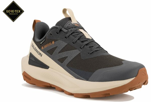 Chaussures de randonnée Salomon Elixir Activ Gore-Tex pour homme en déstockage