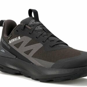Chaussures de randonnée Salomon Elixir Activ Gore-Tex pour homme