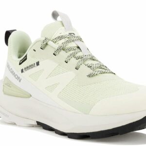 Chaussures de sport Salomon Elixir Activ Gore-Tex pour femme
