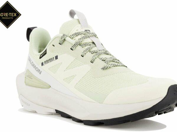 Chaussures de sport Salomon Elixir Activ Gore-Tex pour femme