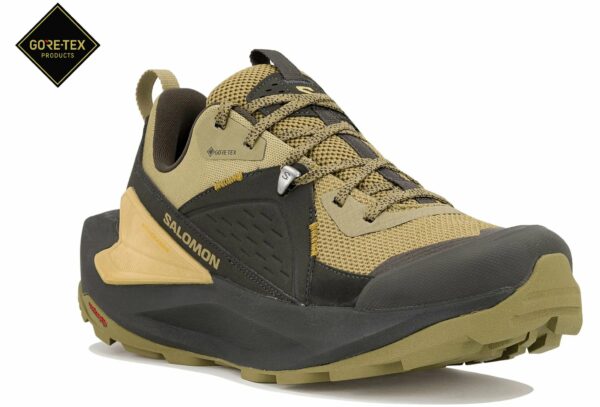 Chaussures de randonnée Salomon Elixir Gore-Tex pour homme en déstockage