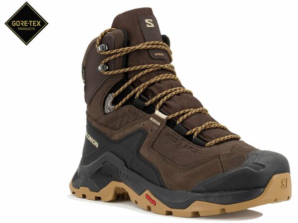 Chaussures de randonnée Salomon Quest Element Gore-Tex pour homme