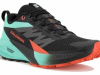 Salomon Sense Ride 5 Chaussures homme - Chaussures de trail dynamiques
