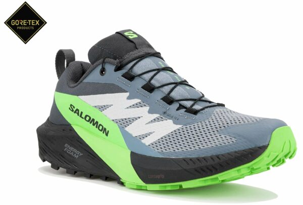 Chaussures de trail Salomon Sense Ride 5 Gore-Tex pour hommes