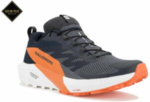 Salomon Sense Ride 5 Gore-Tex M Chaussures homme