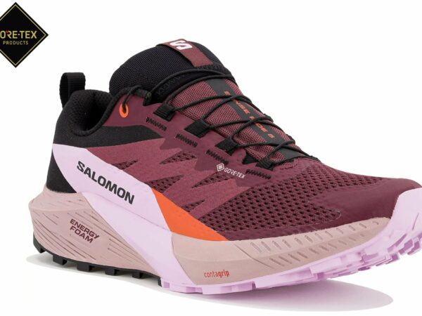 Chaussures de trail Salomon Sense Ride 5 Gore-Tex W pour femme