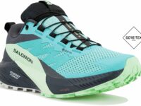 Chaussures de sport Salomon Sense Ride 5 Gore-Tex W pour femme