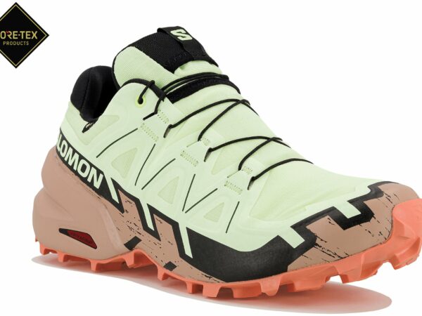 Salomon Speedcross 6 Gore-Tex Chaussures de sport femme