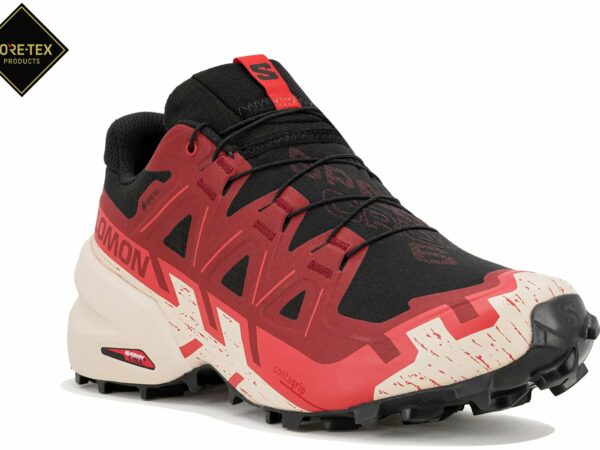 Chaussures de trail Salomon Speedcross 6 Gore-Tex pour homme