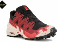 Chaussures Salomon Speedcross 6 Gore-Tex M pour homme