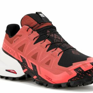 Chaussures trail Salomon Spikecross 6 Gore-Tex pour homme