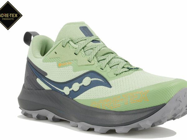 Chaussures de trail femme Saucony Peregrine 14 Gore-Tex