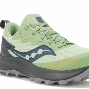 Saucony Peregrine 14 Gore-Tex W Chaussures de sport femme