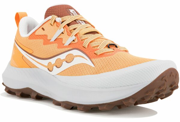 Chaussures de sport femme Saucony Peregrine 14 W pour trail