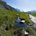 Préparer un trail technique de 30 km — plan terrain exigeant sur 8 semaines