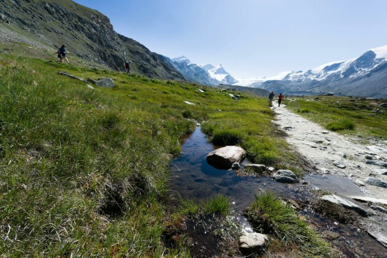 Préparer un trail technique de 30 km — plan terrain exigeant sur 8 semaines