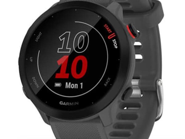 Montre de running GARMIN Forerunner 55 Gris Unique 2025