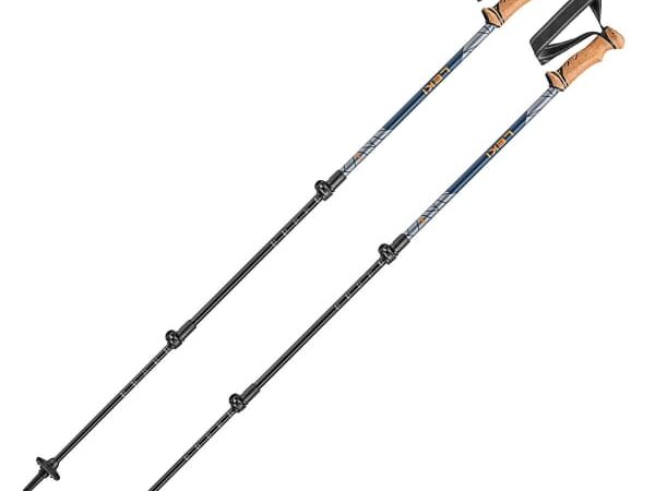 Bâton de randonnée LEKI Legacy Lite Bleu / Gris / Marron 2025