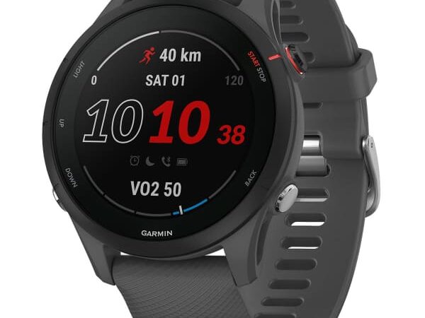 Montre GPS GARMIN Forerunner 255 Gris Unique 2023