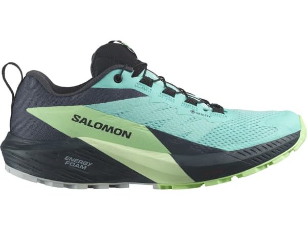 Chaussure de trail SALOMON Sense Ride 5 Gore-tex W - Bleu / Vert / Noir - taille 36 2024