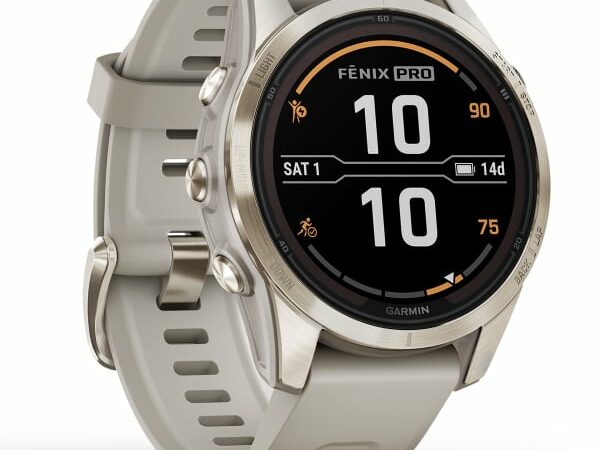 Montre connectée GARMIN Fenix 7s Pro Gris 2024