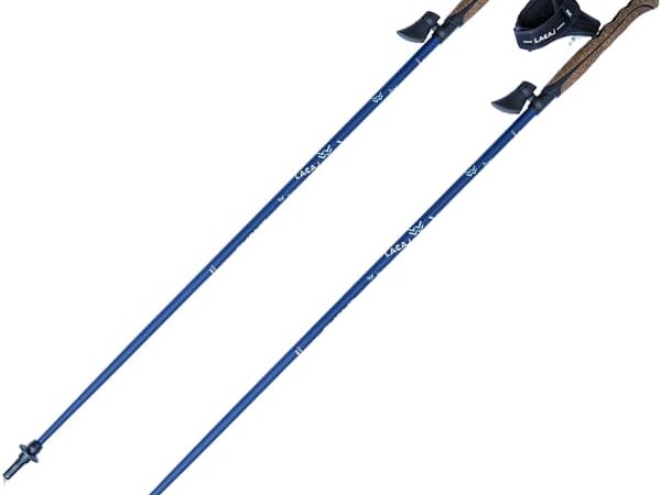 Bâton de randonnée LACAL Stick Carbone 40% Bleu 120 2024