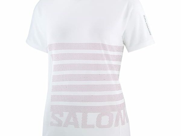 Tee-shirt de running Salomon Sense Aero Ss Tee Gfx W Blanc / Violet - Taille L