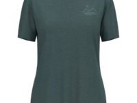 Tee-shirt Odlo W Ascent Sun. Sea. Mountains. Crew Neck S/s - Vert - taille L 2024