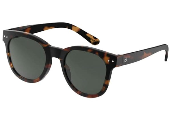 Lunettes de soleil IZIPIZI Sun N Marron / Noir Unique 2025